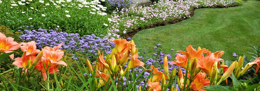 C&N Lawn Care, LLC - Chesterfield NJ 08515 Landscaping